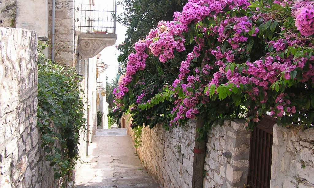 Old Town Lane Near Apartment