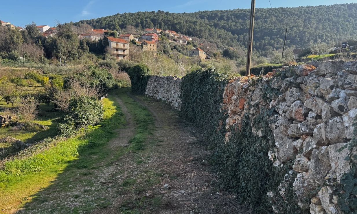 DOL17 – Vehicle access alongside the plot - IMG_3438